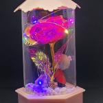 Best Wishes Romantic Couple LED Light with Enchanted Rose Decoration